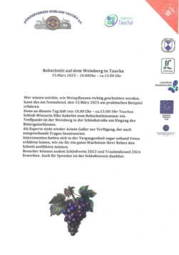 Rebschnitt 09.03.2024